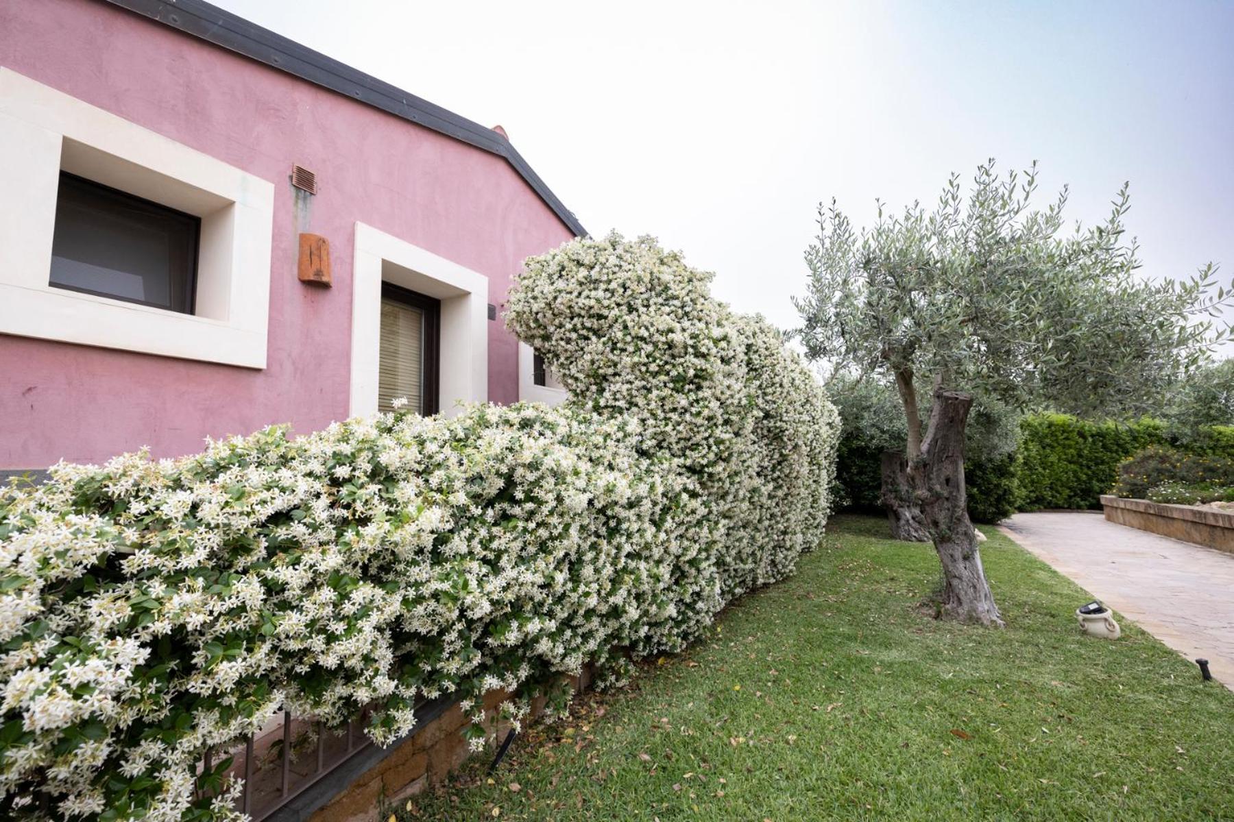 Villa Badiula Carlentini Exterior foto